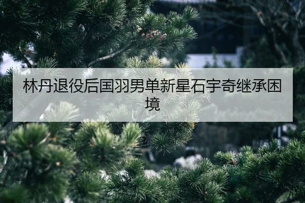 lin-dan-tui-yi-hou-guo-yu-nan-dan-xin-xing-shi-yu-qi-ji-cheng-kun-jing-2-324.jpg
